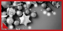 ESTERNA Buone Feste e Buon 2026 da Oiki!